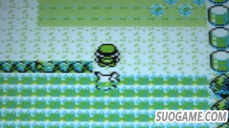 游戏速通大会AGDQ 2020再创纪录 为癌症预防组织筹款313万美元