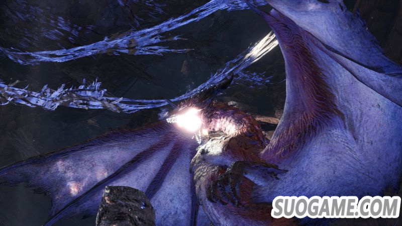 《怪物猎人世界 Iceborne》更新神秘怪物初登场 成年体冥灯龙