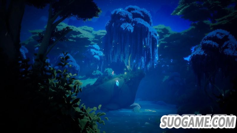 X019直播活动新闻汇总 黑曜石与Rare工作室新作公开