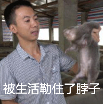 悦动游戏网