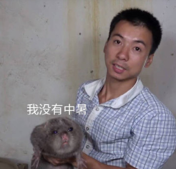悦动游戏网