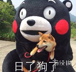 悦动游戏网