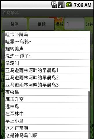 百鸟争鸣 游戏截图2