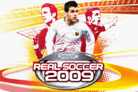 ʵ2009 Ϸͼ1