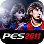 ʵ2011