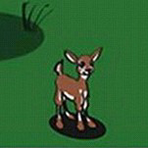 ¹