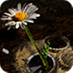 ʻ4