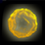 ŭ