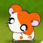 ؼ HamsterGoHome