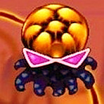 Ϲ