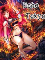 DVD̰