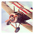 ԭ v1.1