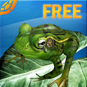 С
