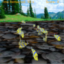 ʵ v1.1