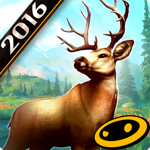 ¹2016 ƽ