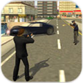 ĺڰ3D ƽ v1.6