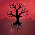 뷽飺Դ ƽ v1.1.3