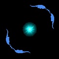  ĺƽ v2.0.8