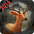 ¹ ޽ƽ 2.0.8