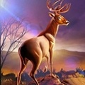 3D ޽ƽ V1.8