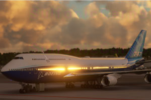 ΢ģС½ͼ Ů747ϸȾ