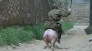öϷ
