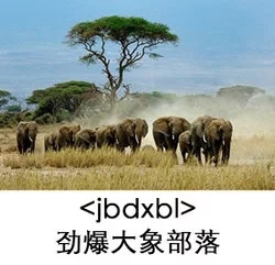 öϷ