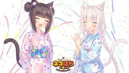 è԰ϵSteamƽ̨300 Vol.4С