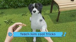 ģϷDog Trainer½Steamƽ̨ ּ֧ġ