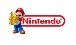 ðƼϸҪ NS Lite˸Ůû