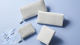 CapcomƳ4硷Ǯܱߡ