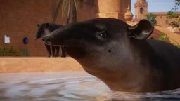 ԰֮ǡʵ湫 Ϸ115շۡ