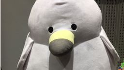 һ׽λ֮ 硷ëżʵͼ