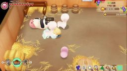  ؾۿʯ򡷹Ӱ չʾ