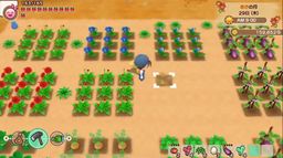  ؾۿʯӰ չʾֲջũ