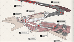 CDPR̳ϼܡ2077뵶⺣