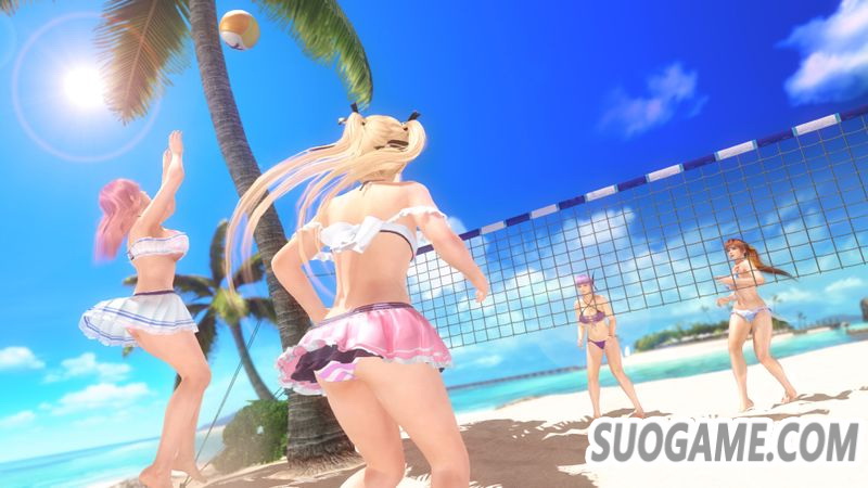 Beach Volleyball.jpg