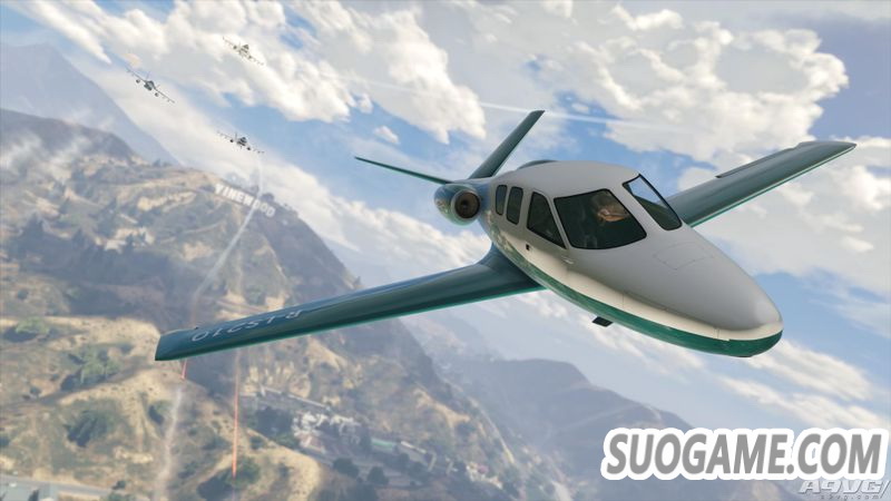 GTA ONLINEл ɻ˫