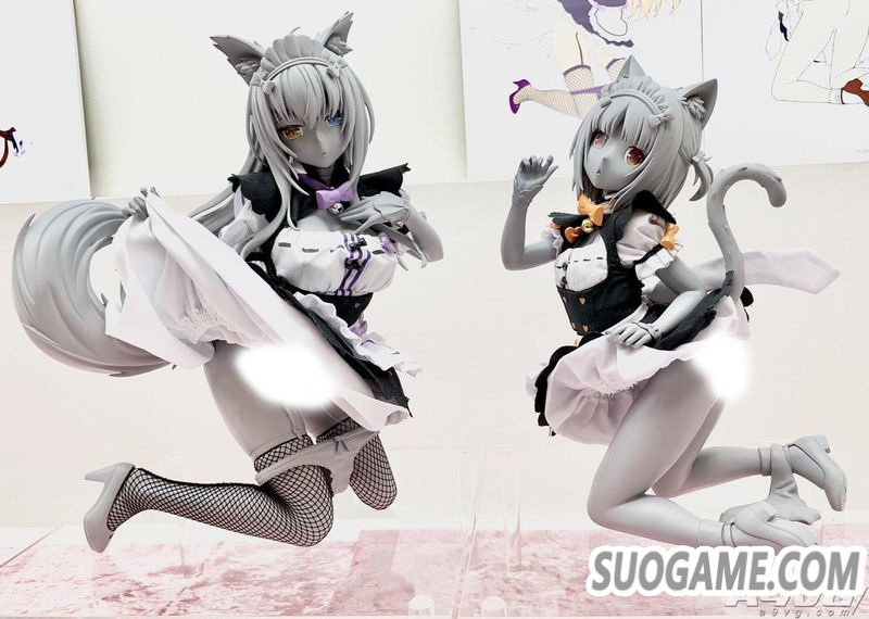 WF2019վٰ ְƷչ