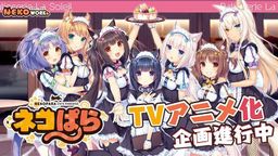 ɿıΪTV ¼гʱδ֪