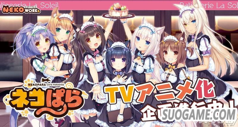 ɿıΪTV ¼гʱδ֪