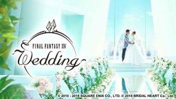 ջ14ʵ쳡ؾٰFF14