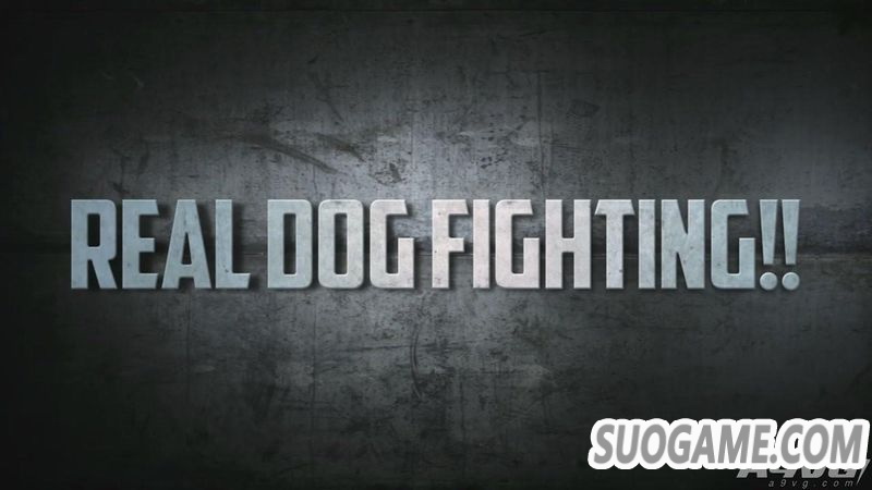 սϷDogfighter WW2ԤƬ 19½PS4