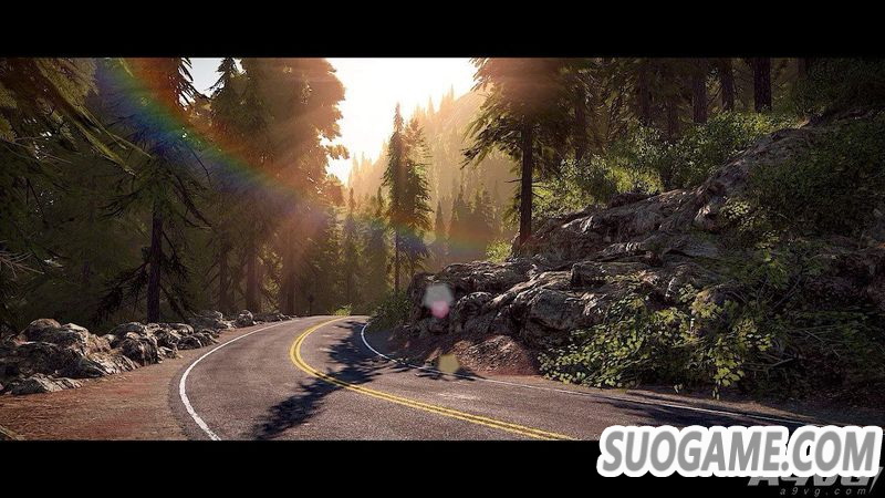V-Rally 4/ԽҰӢ4Nintendo Switchƽ̨