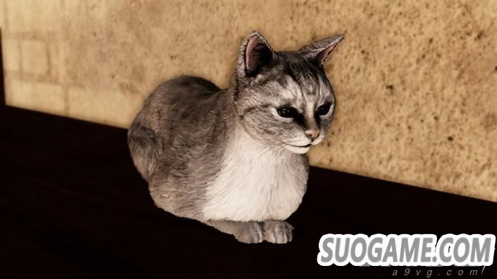 ֮ ԡ10Ѷ DLCϸ