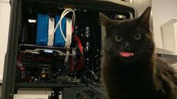 RTX̩̹ˣӢΰһǿԿСࡱ