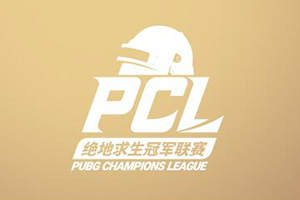 PCL45 ھ80򽱽