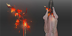 ���Ž���̷����桷�����۽�������ᡱ�ڶ��������������ع⡱