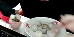 Ԫ���ڻ��ڳ���Բ�����������ߵ�Ϸ�п�ҽ����