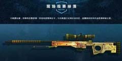 CSGO������������ʽ��Ļ���й�ս��Tylooϲ��һѪ����